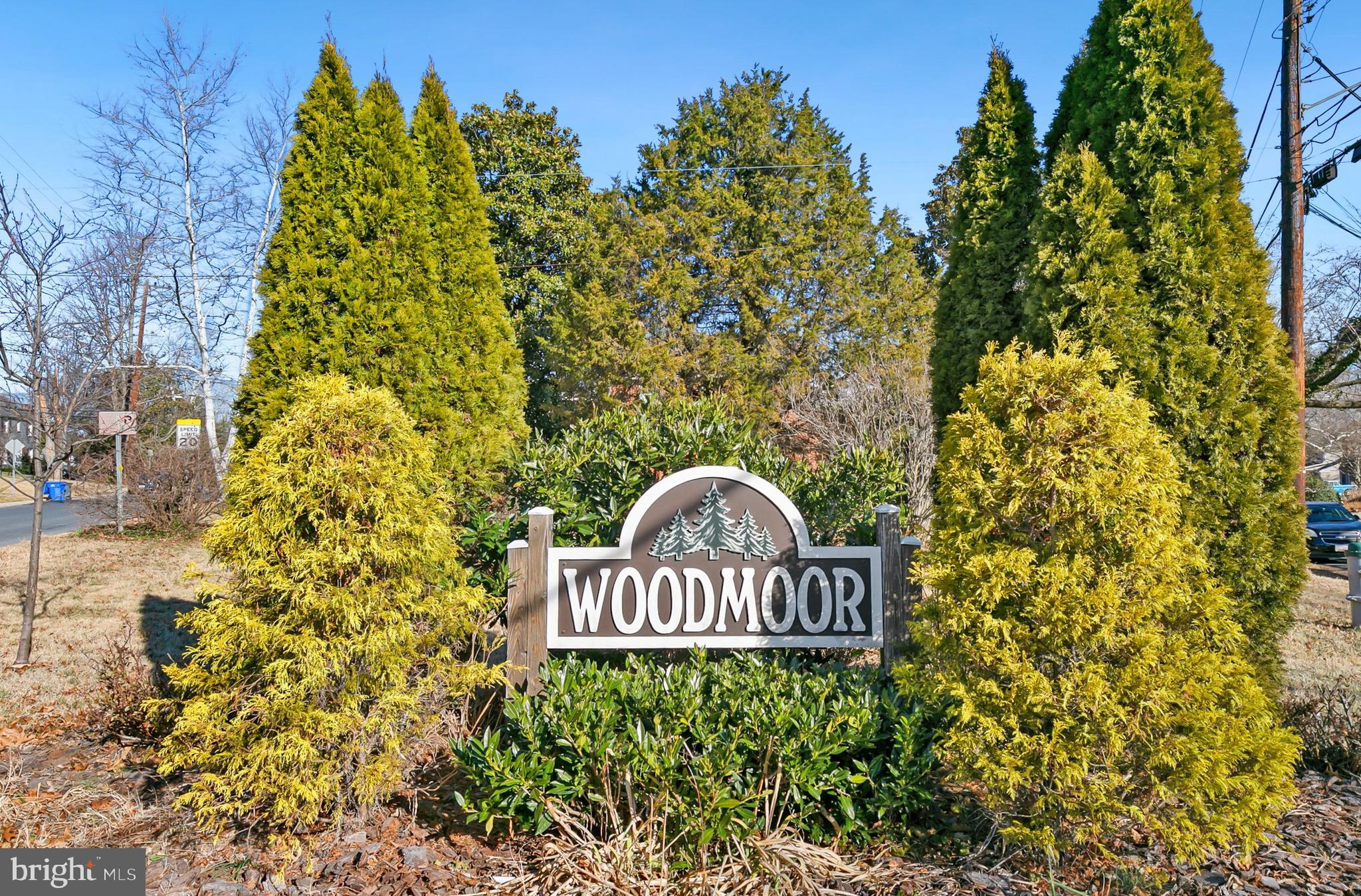 117 Lynnmoor Drive Silver Spring, MD 20901 - Photo 32 of 35