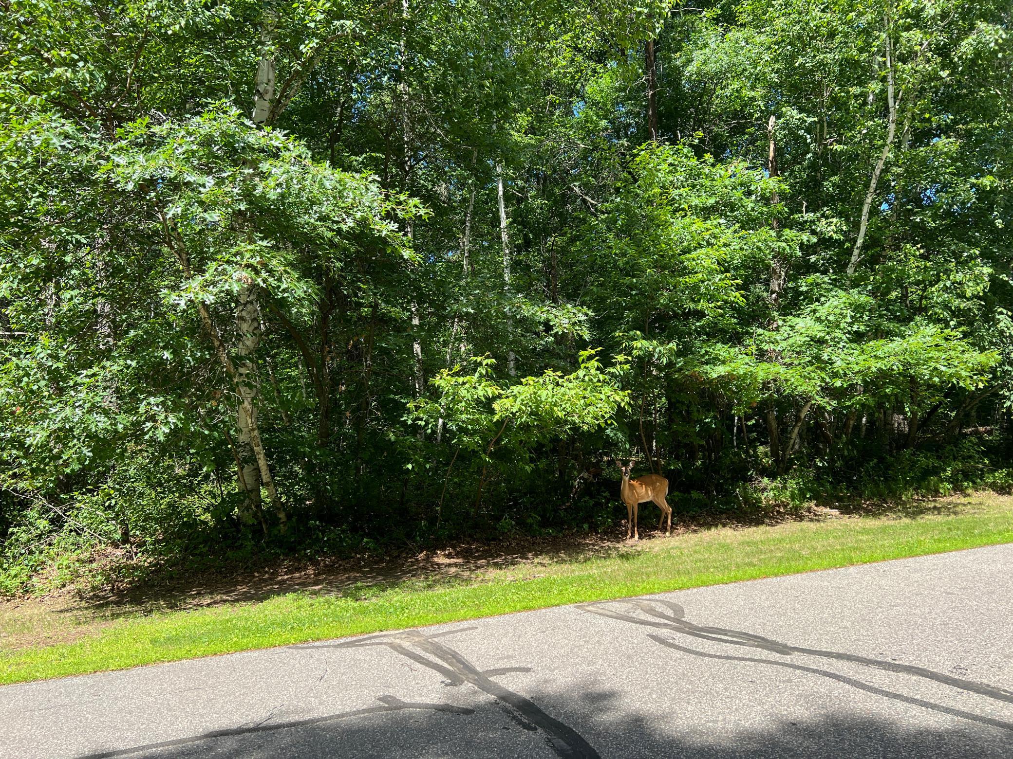 Lot 2 Birch Lane Brainerd, MN 56401 - Photo 12 of 16