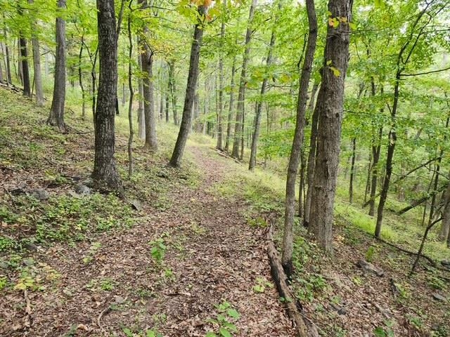 Rocky Branch Road Luray, VA 22835 - Photo 2 of 14