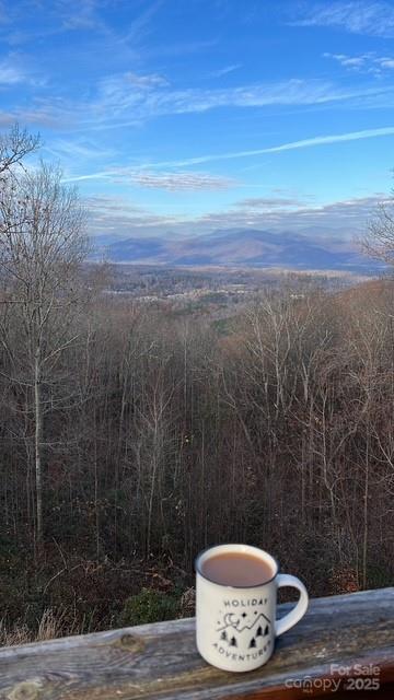 1595 Grants Mountain Road Marion, NC 28752 - Photo 48 of 48