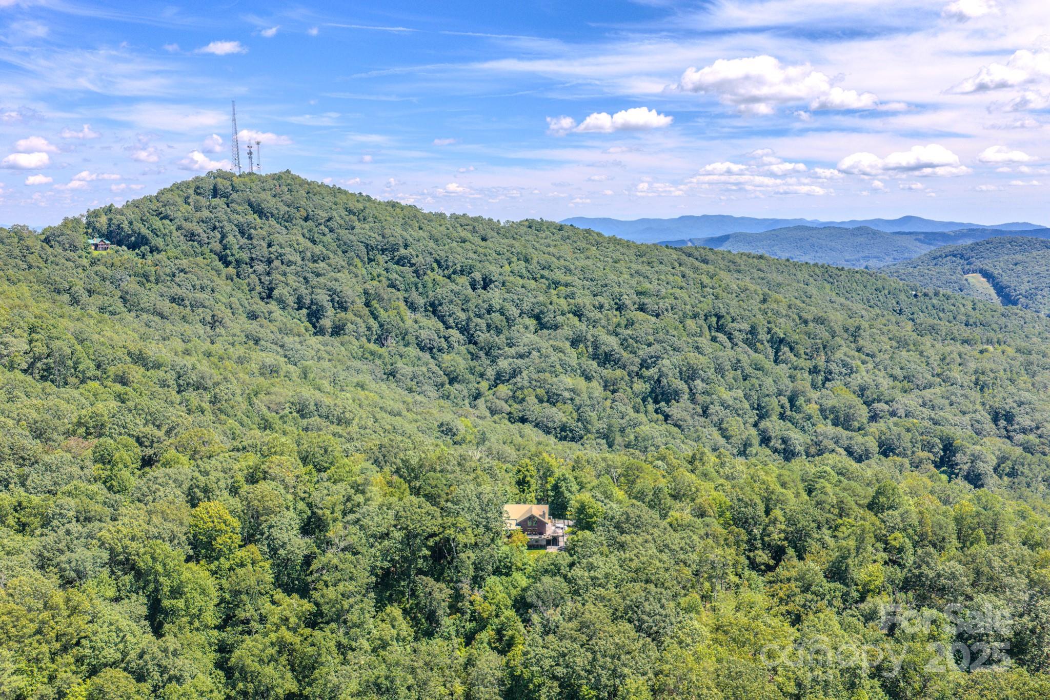 1595 Grants Mountain Road Marion, NC 28752 - Photo 8 of 48