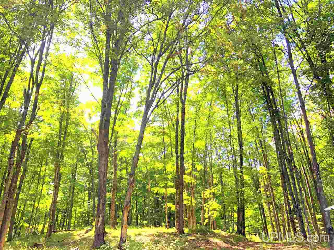 9 Road Trail Felch, MI 49831 - Photo 12 of 42