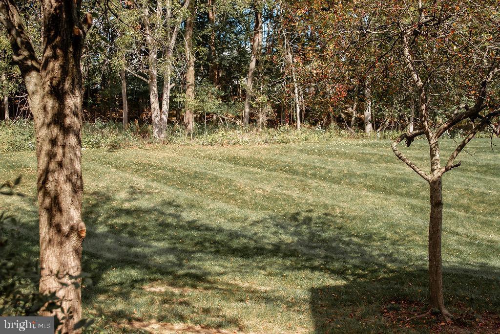 1919 Limestone Drive Hummelstown, PA 17036 - Photo 25 of 25 Gallery Image 25