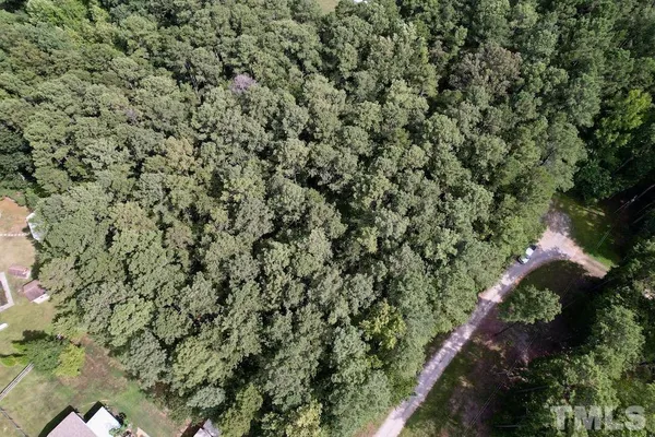 a view of a tree with a yard