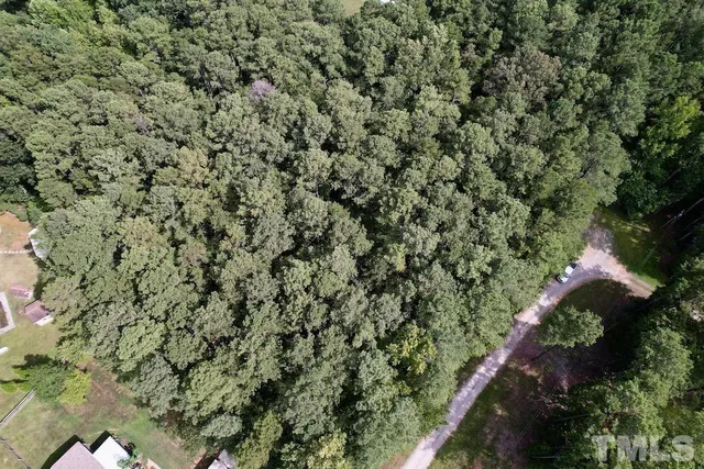 a view of a tree with a yard