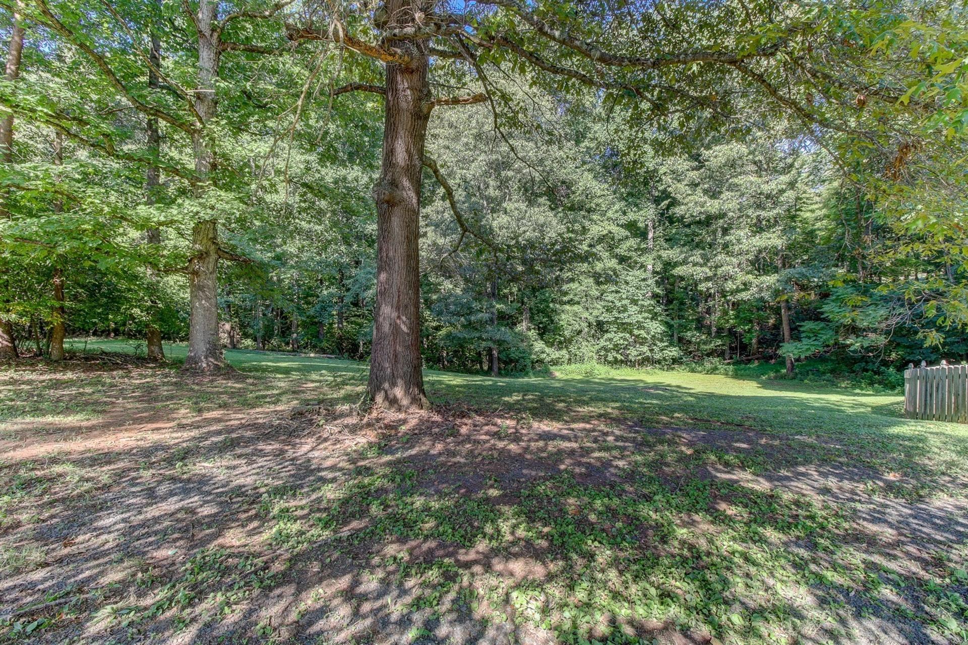 134 Claybrook Road Rocky Mount, VA 24151 - Photo 41 of 54 Yard