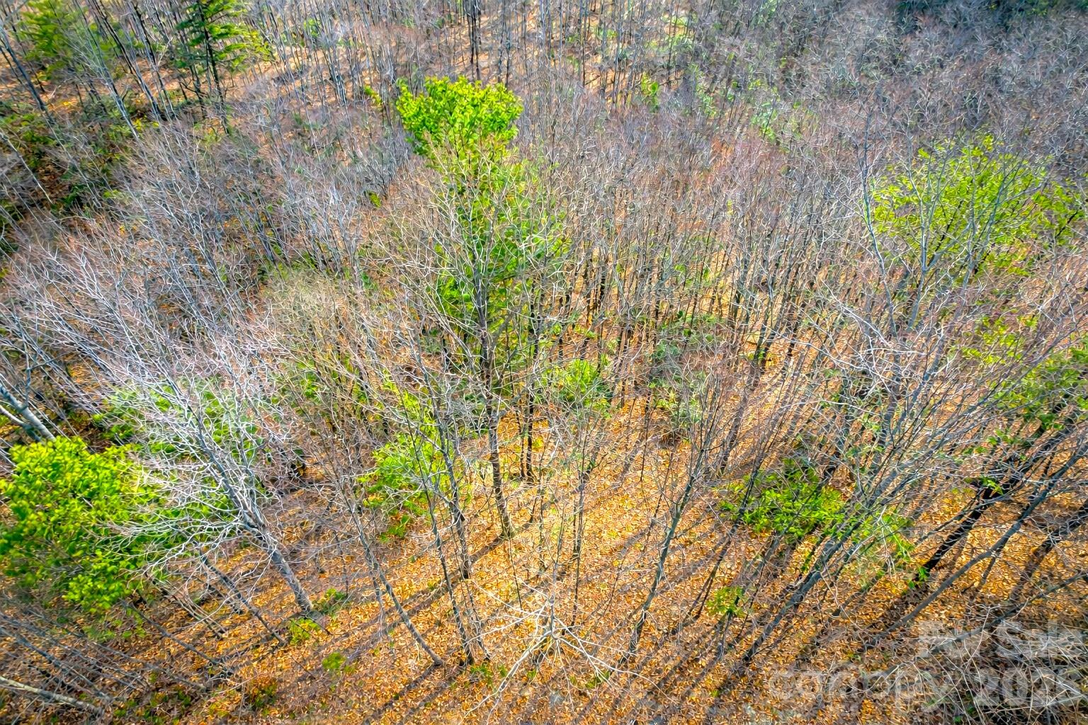 0 Mars Mountain Road Boomer, NC 28606 - Photo 11 of 15