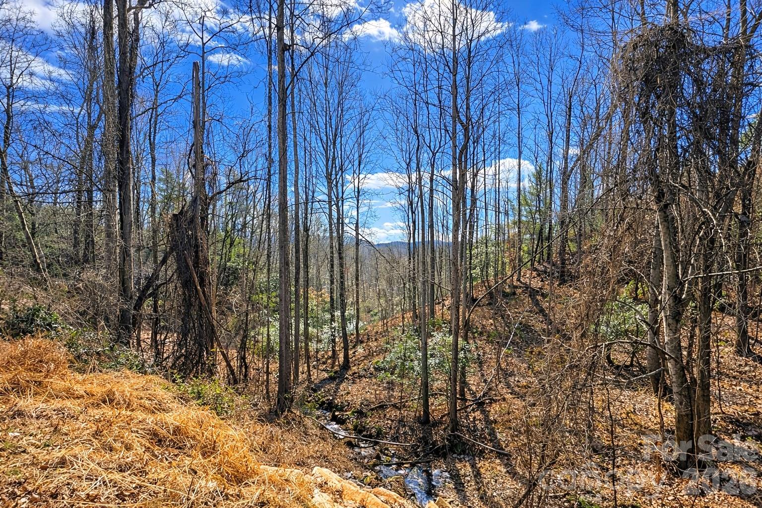 0 Mars Mountain Road Boomer, NC 28606 - Photo 4 of 15