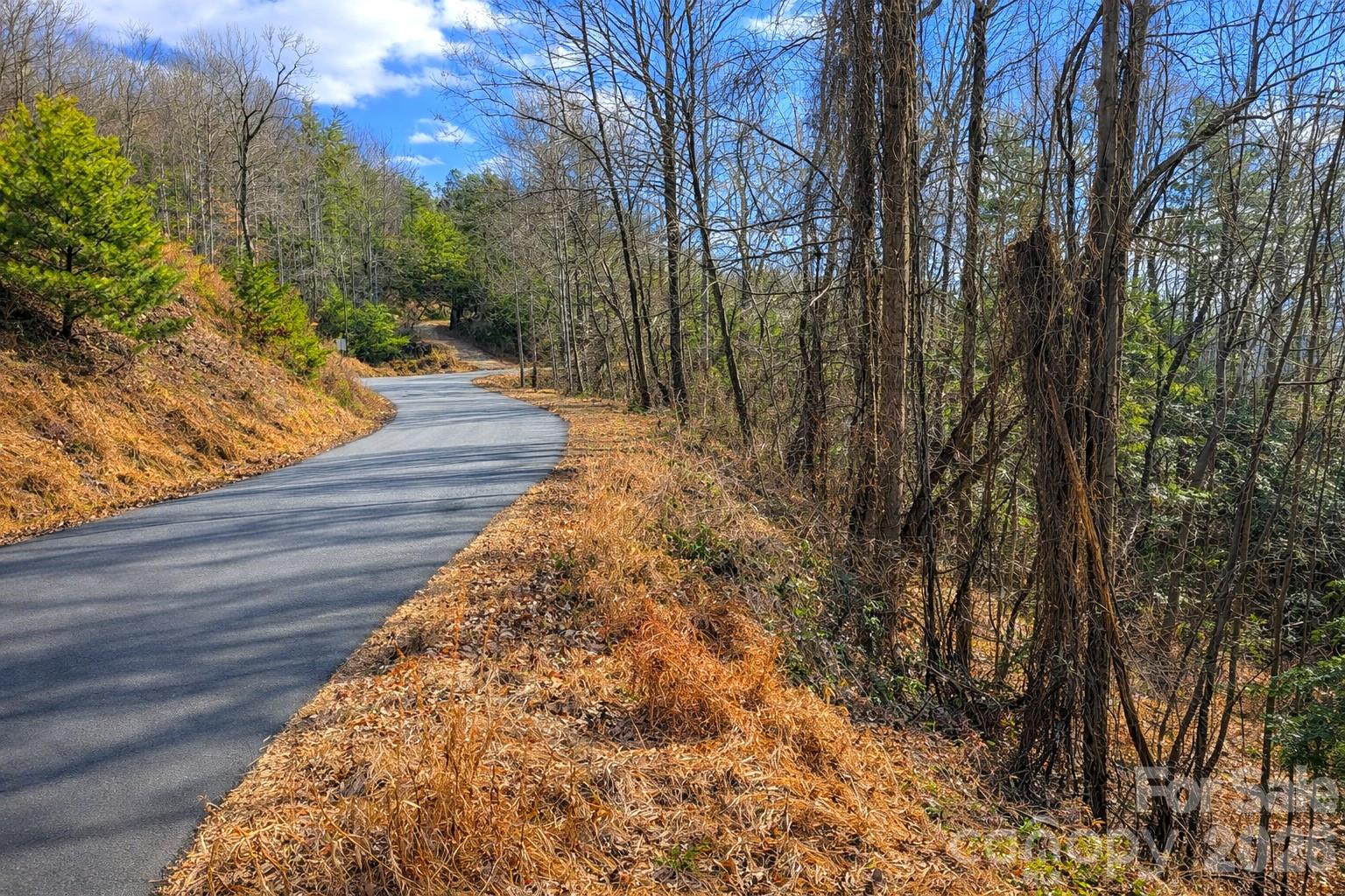 0 Mars Mountain Road Boomer, NC 28606 - Photo 6 of 15