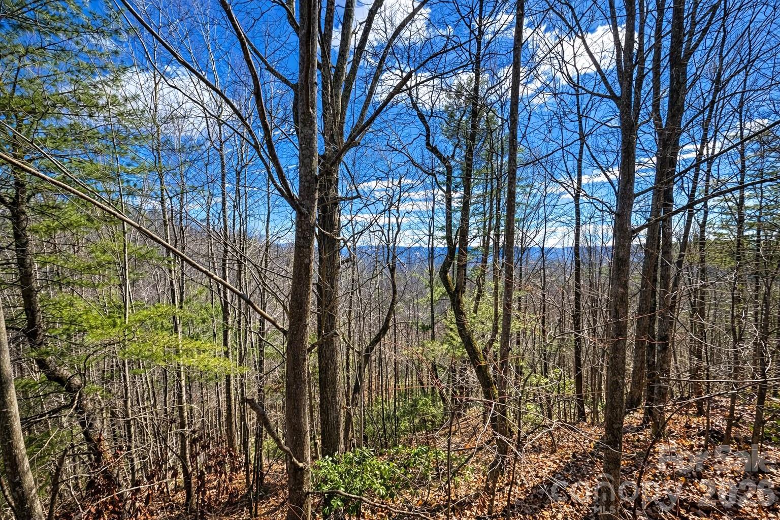 0 Mars Mountain Road Boomer, NC 28606 - Photo 7 of 15