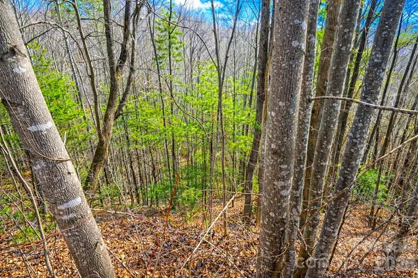 $47,500 | 0 Mars Mountain Road, Boomer, NC 28606