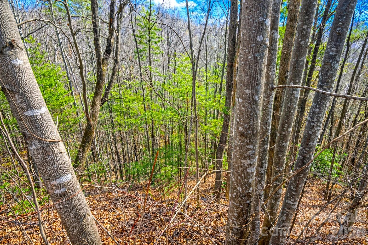 0 Mars Mountain Road Boomer, NC 28606 - Photo 8 of 15