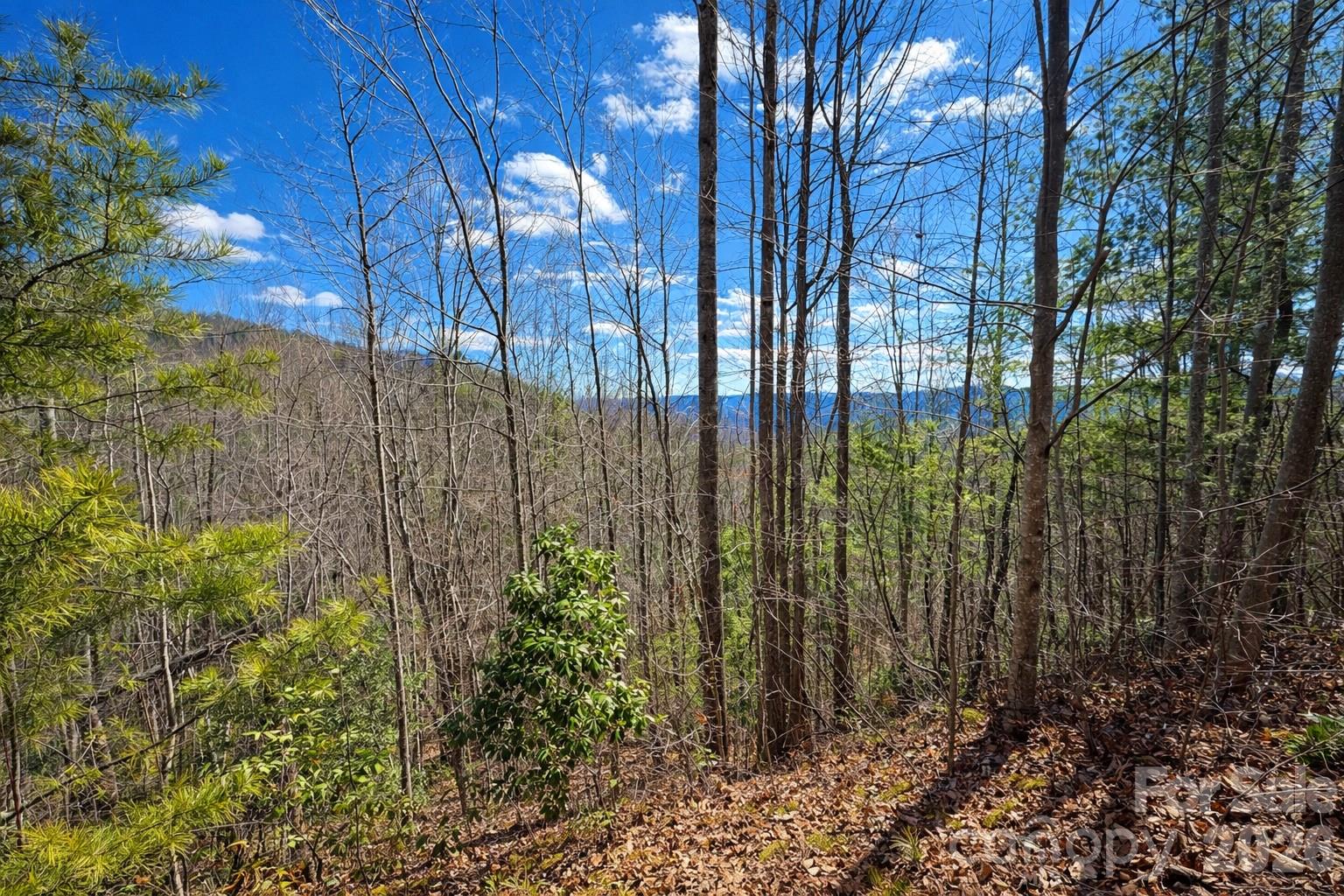 0 Mars Mountain Road Boomer, NC 28606 - Photo 9 of 15
