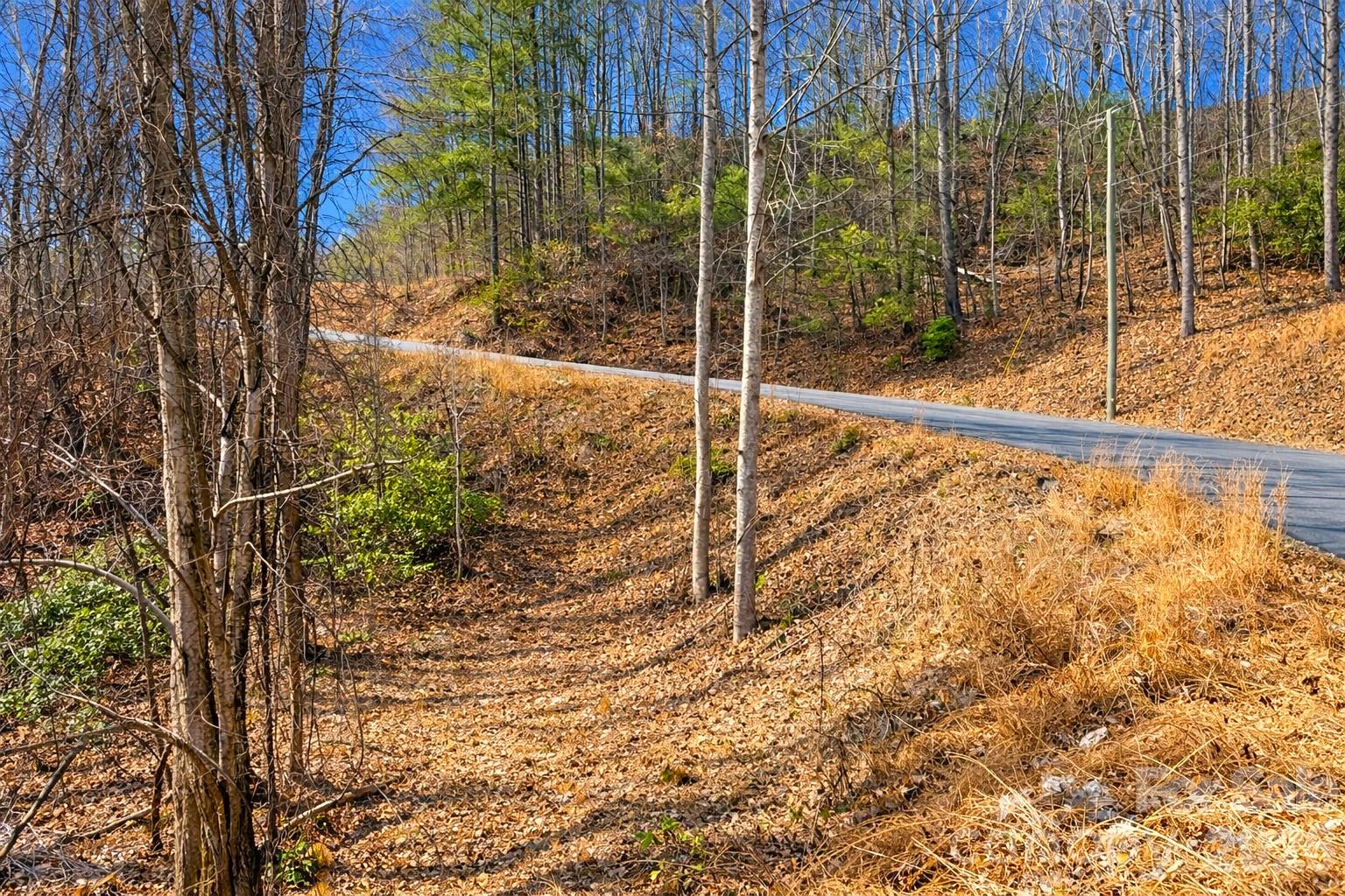 0 Mars Mountain Road Boomer, NC 28606 - Photo 10 of 15