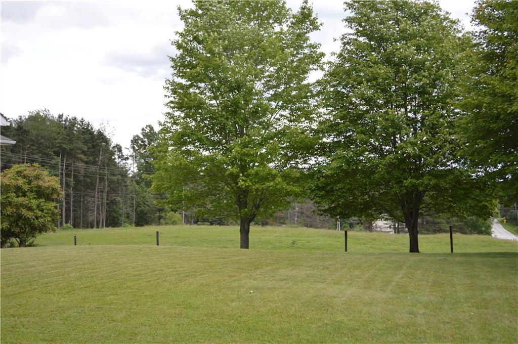 30172 State Rte 27 Guys Mills, PA 16327 - Photo 22 of 25 Yard facing fenced pasture