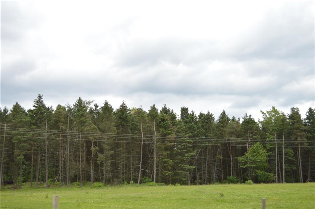 30172 State Rte 27 Guys Mills, PA 16327 - Photo 23 of 25 Pasture with back tree line