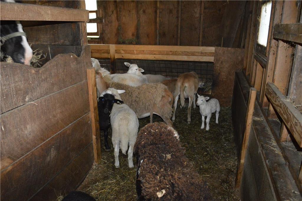 30172 State Rte 27 Guys Mills, PA 16327 - Photo 24 of 25 Interior barn