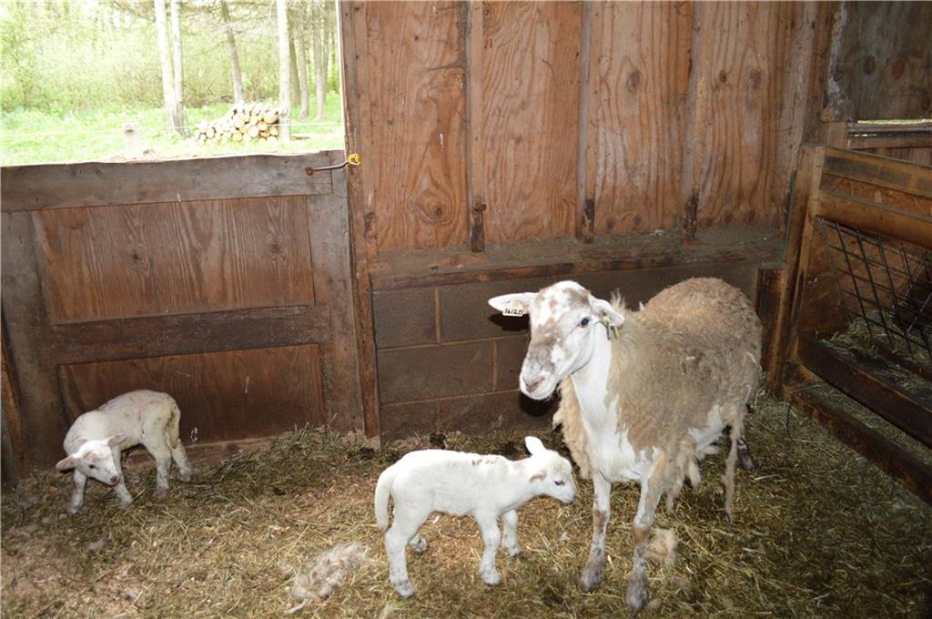 30172 State Rte 27 Guys Mills, PA 16327 - Photo 25 of 25 Interior barn