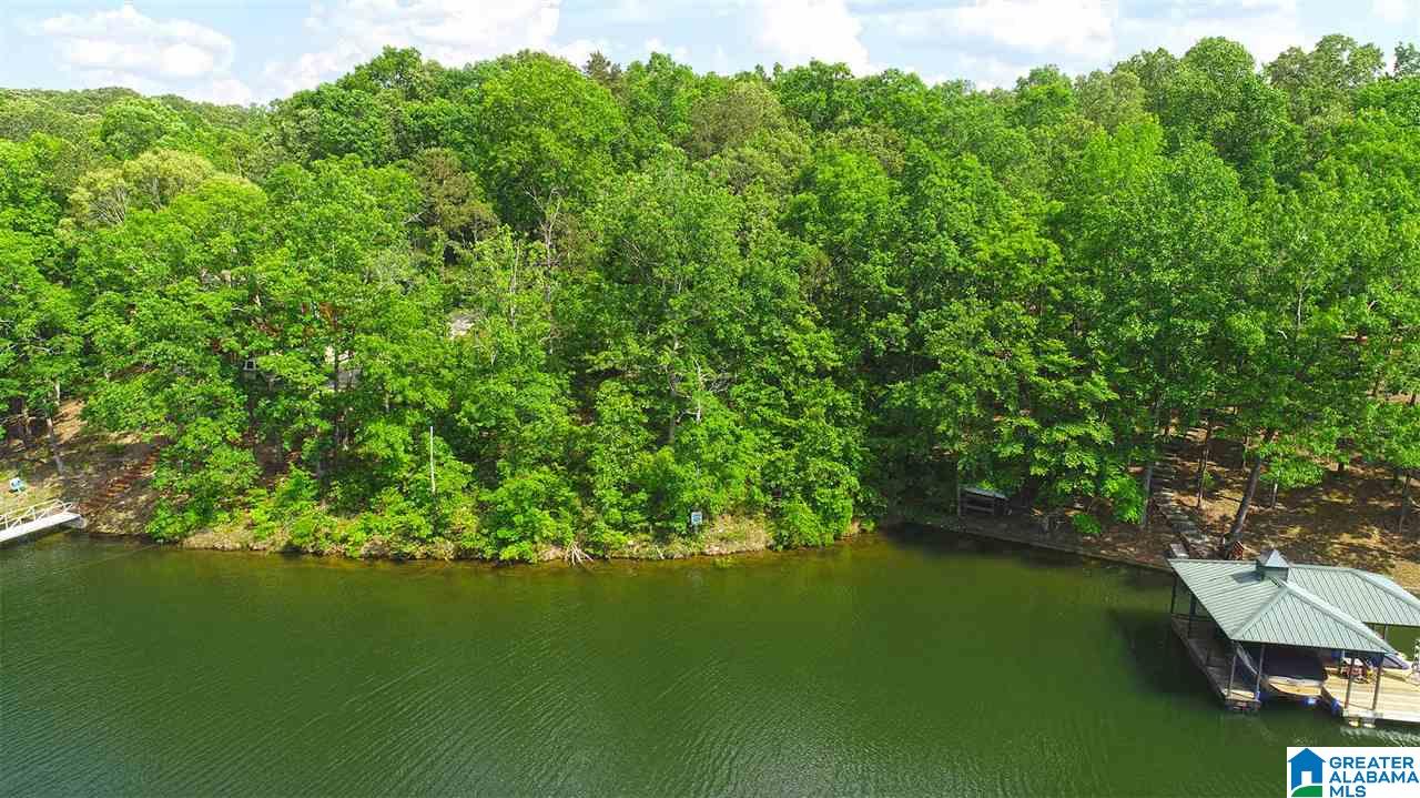 Camelia Lane, Unit 74 Wedowee, AL 36278 - Photo 1 of 10