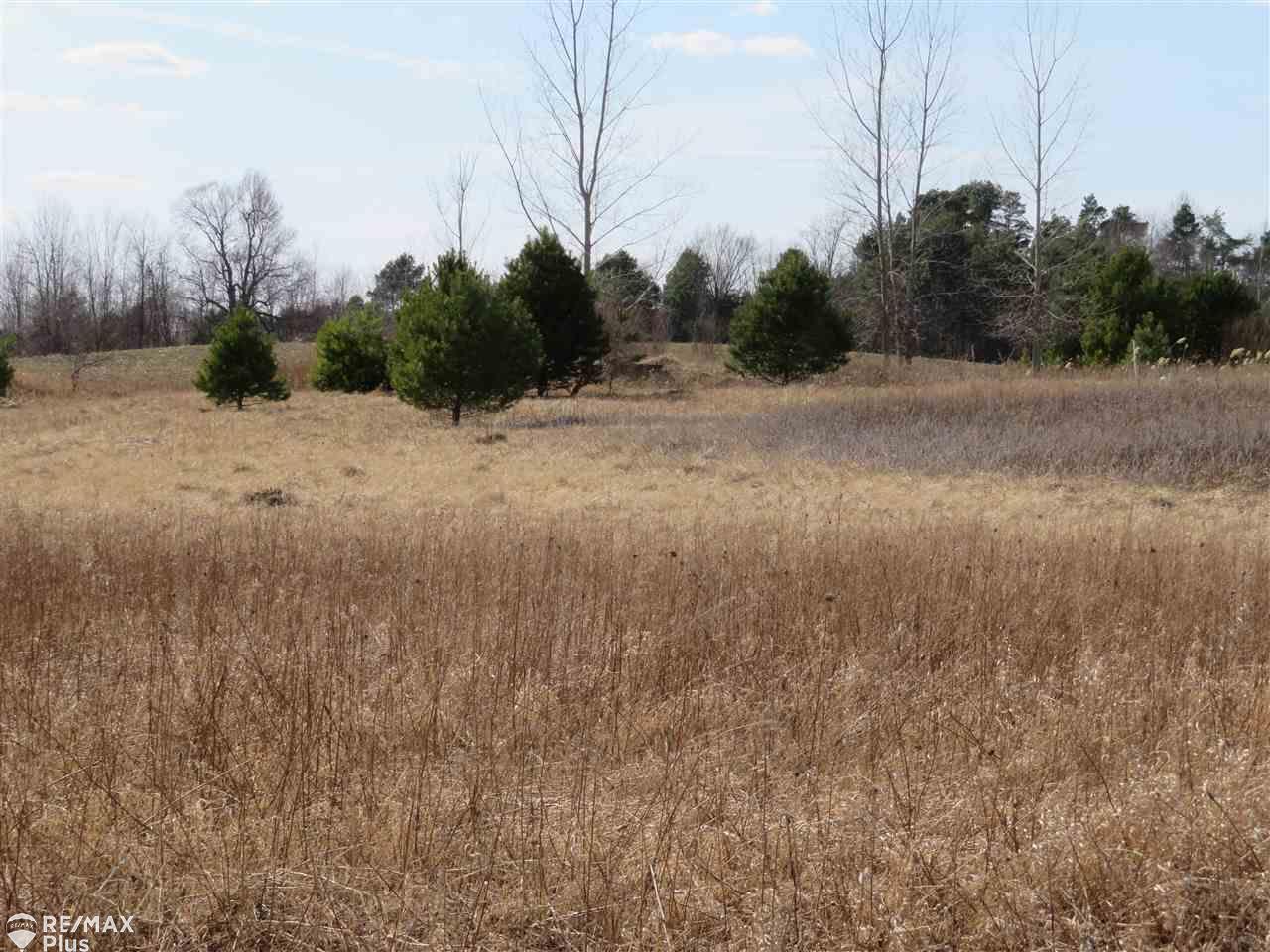 0 Thayer Road Mayville, MI 48744 - Photo 1 of 7