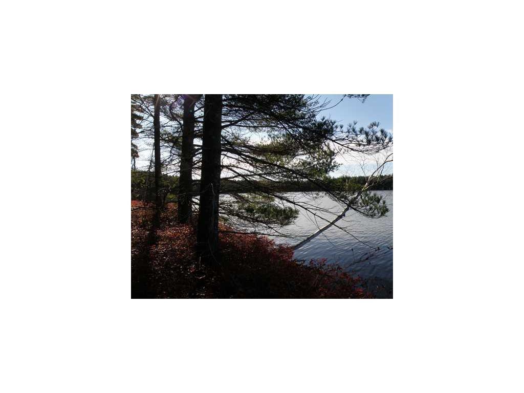 0 Loon Road Wesley, ME 04686 - Photo 4 of 11 Photo