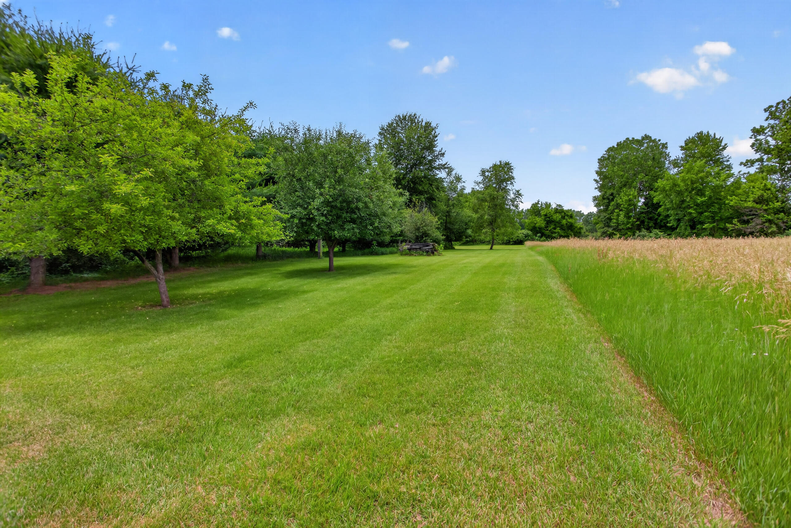 14520 Wheaton Road Brooklyn, MI 49230 - Photo 95 of 109 28-print-IMG_3402
