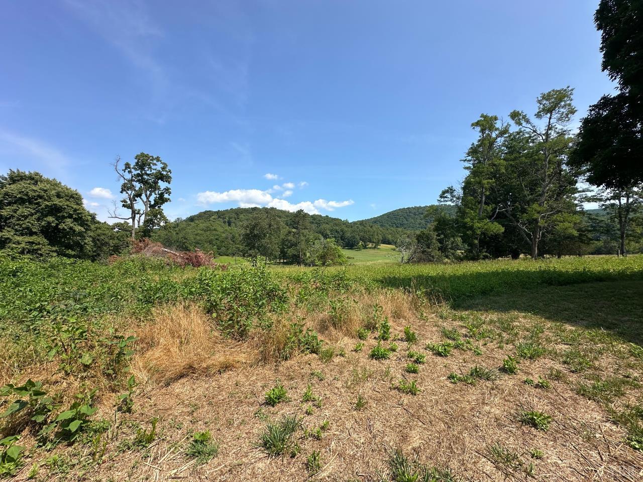 2225 Irving Road Thaxton, VA 24174 - Photo 34 of 45