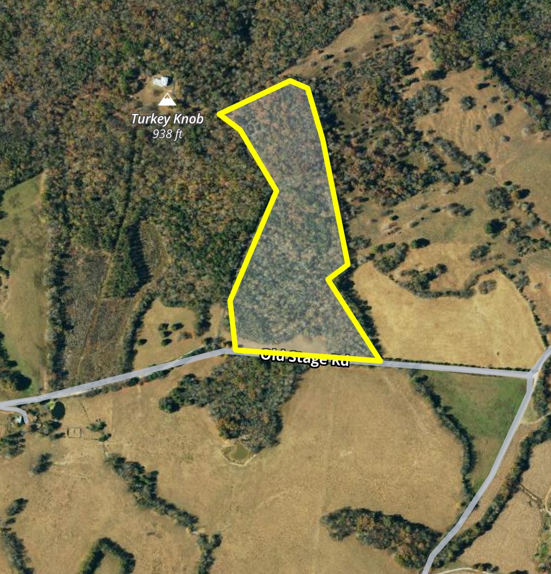 5 Old Stage Road Ardmore, TN 38449 - Photo 14 of 15 an aerial view of a swimming pool