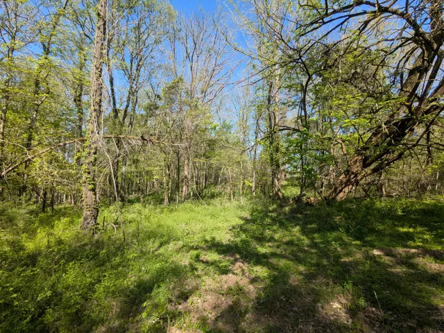 $245,000 | 5 Old Stage Road, Ardmore, TN 38449