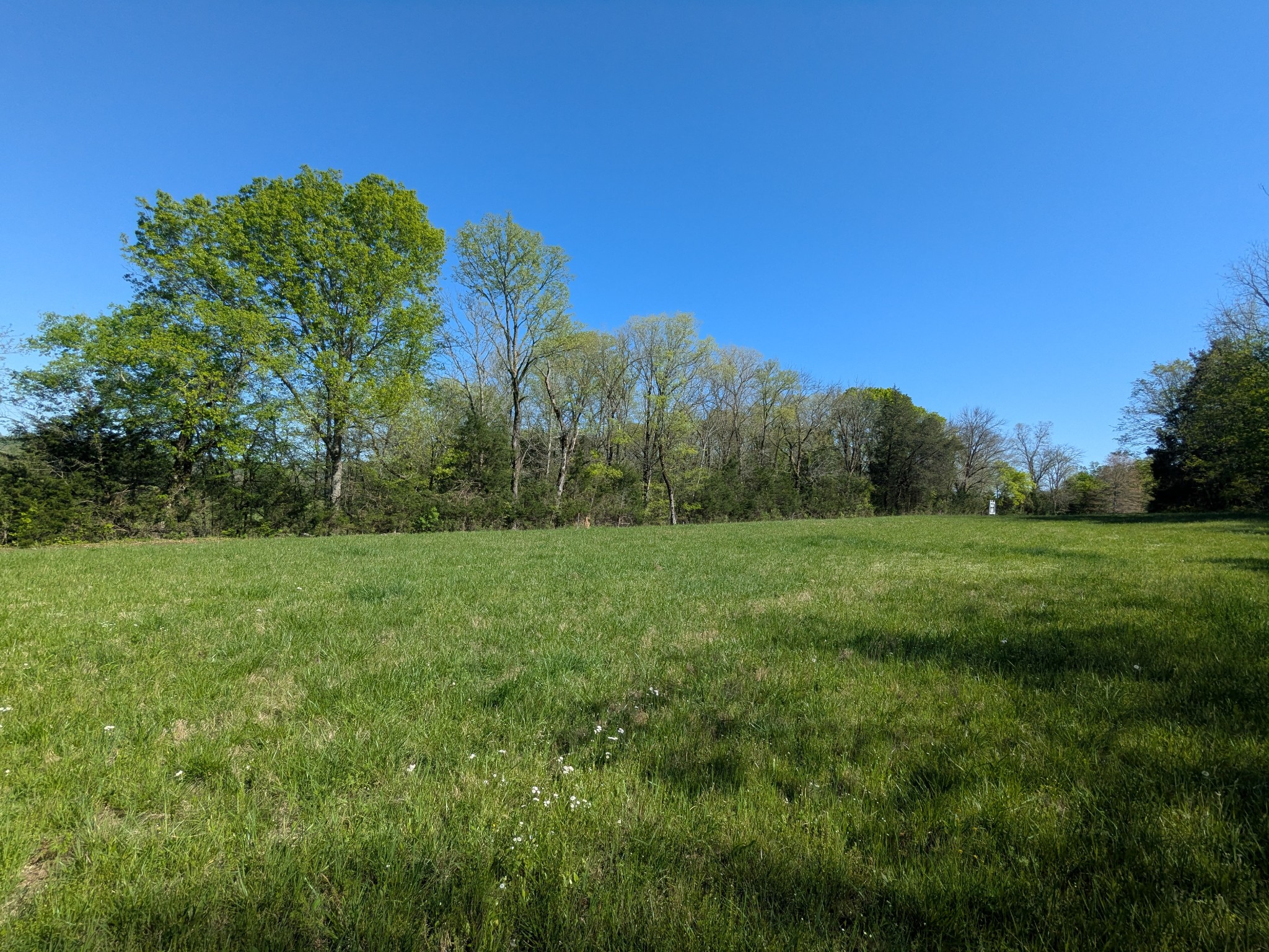 5 Old Stage Road Ardmore, TN 38449 - Photo 5 of 15 a view of a grassy field with trees in the background