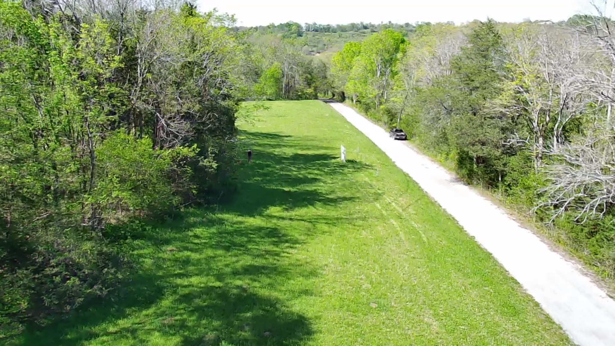 5 Old Stage Road Ardmore, TN 38449 - Photo 6 of 15 a view of a lush green forest with lots of trees