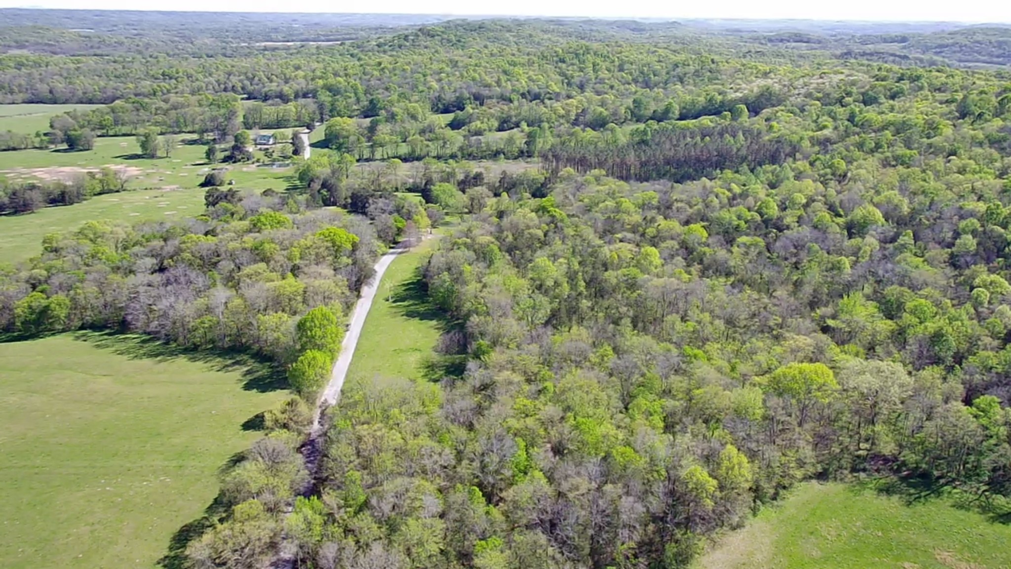 5 Old Stage Road Ardmore, TN 38449 - Photo 7 of 15 a view of a forest with a street