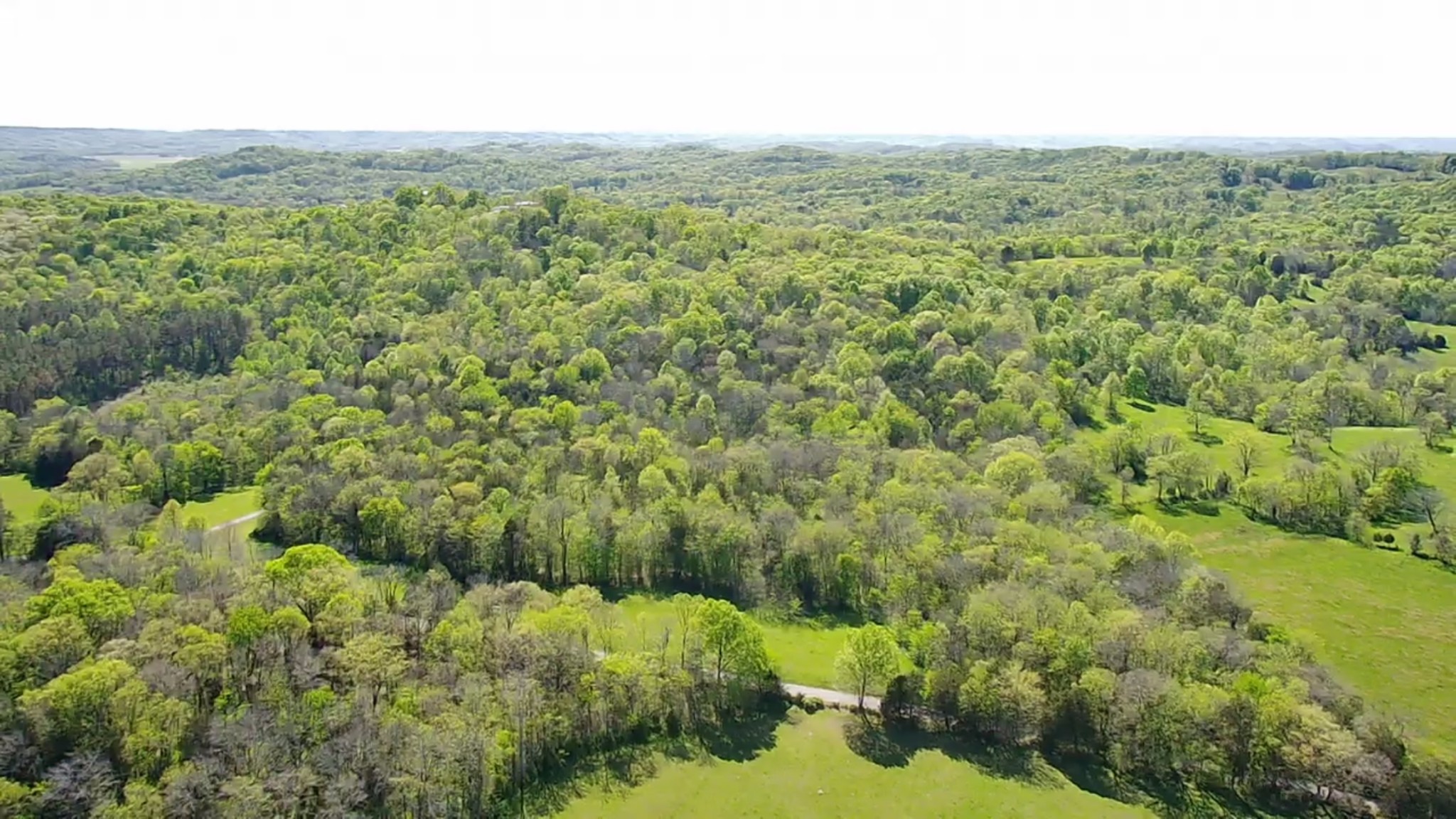 5 Old Stage Road Ardmore, TN 38449 - Photo 8 of 15 a view of a lush green field with lots of bushes