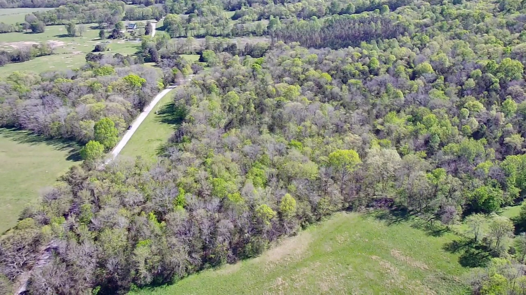 5 Old Stage Road Ardmore, TN 38449 - Photo 10 of 15 a view of a forest with a tree