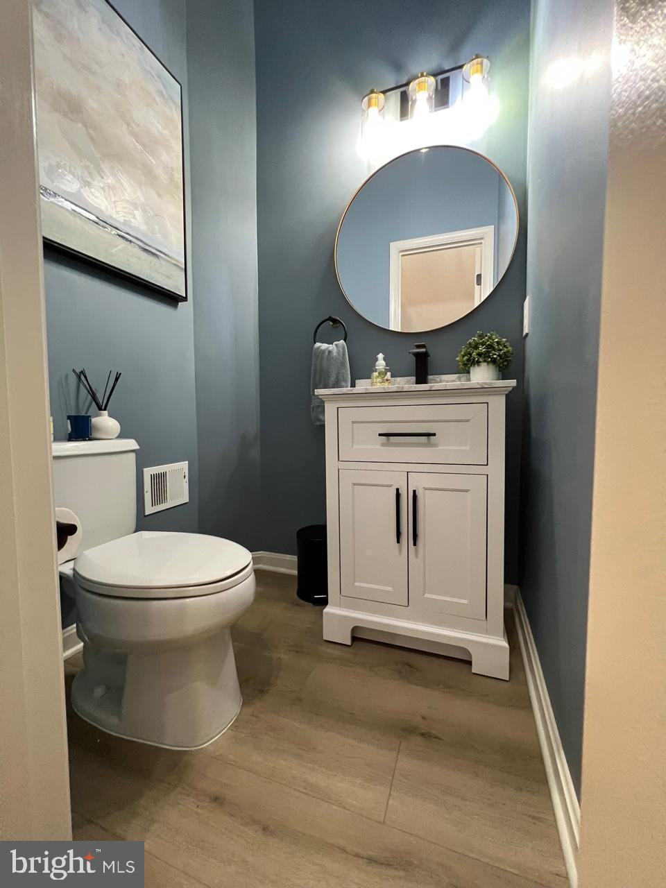 20202 Foothill Terrace Ashburn, VA 20147 - Photo 12 of 26 a bathroom with a toilet a sink and mirror