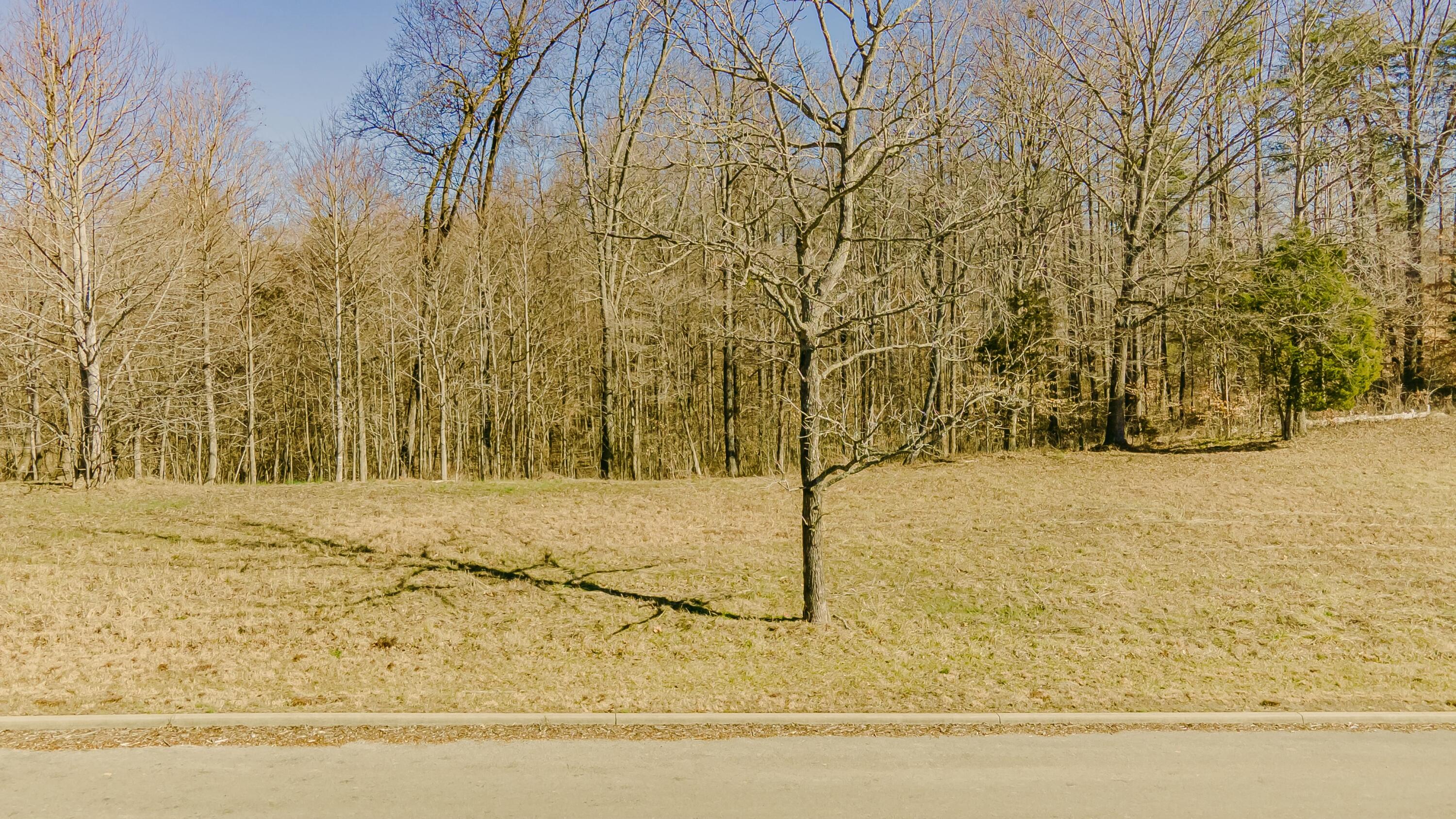 1919 South Shepola Road Nancy, KY 42544 - Photo 8 of 33 tempImagek42hBF