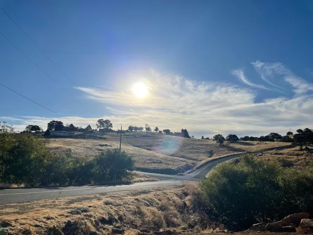a view of a dry yard with wooden fence