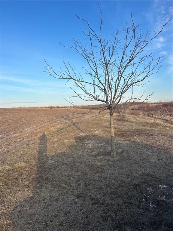 8676 Appletree Road Lexington, MO 64067 - Photo 3 of 4