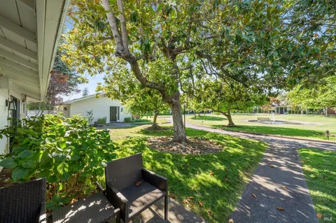 a view of a garden with trees