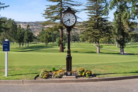 a view of a park with large trees