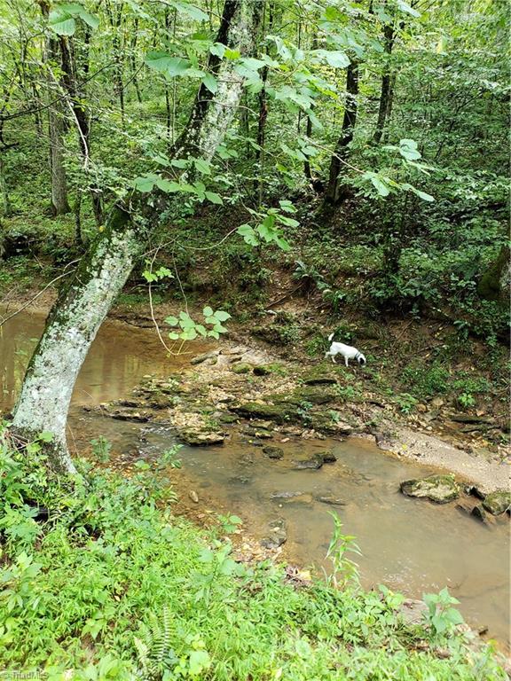 0 William Fowler Road, Unit 46 King, NC 27021 - Photo 14 of 18