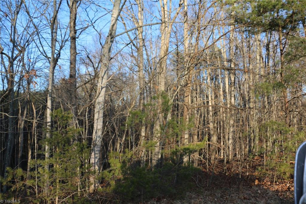0 William Fowler Road, Unit 46 King, NC 27021 - Photo 3 of 18