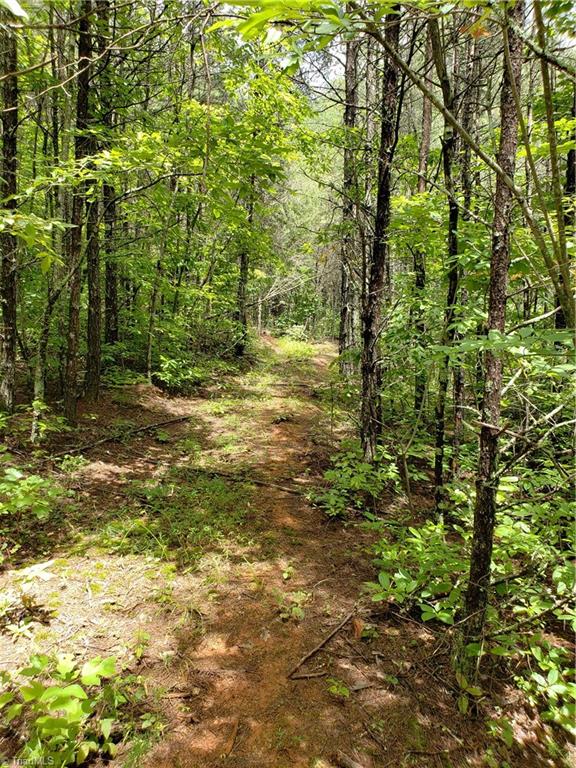 0 William Fowler Road, Unit 46 King, NC 27021 - Photo 8 of 18