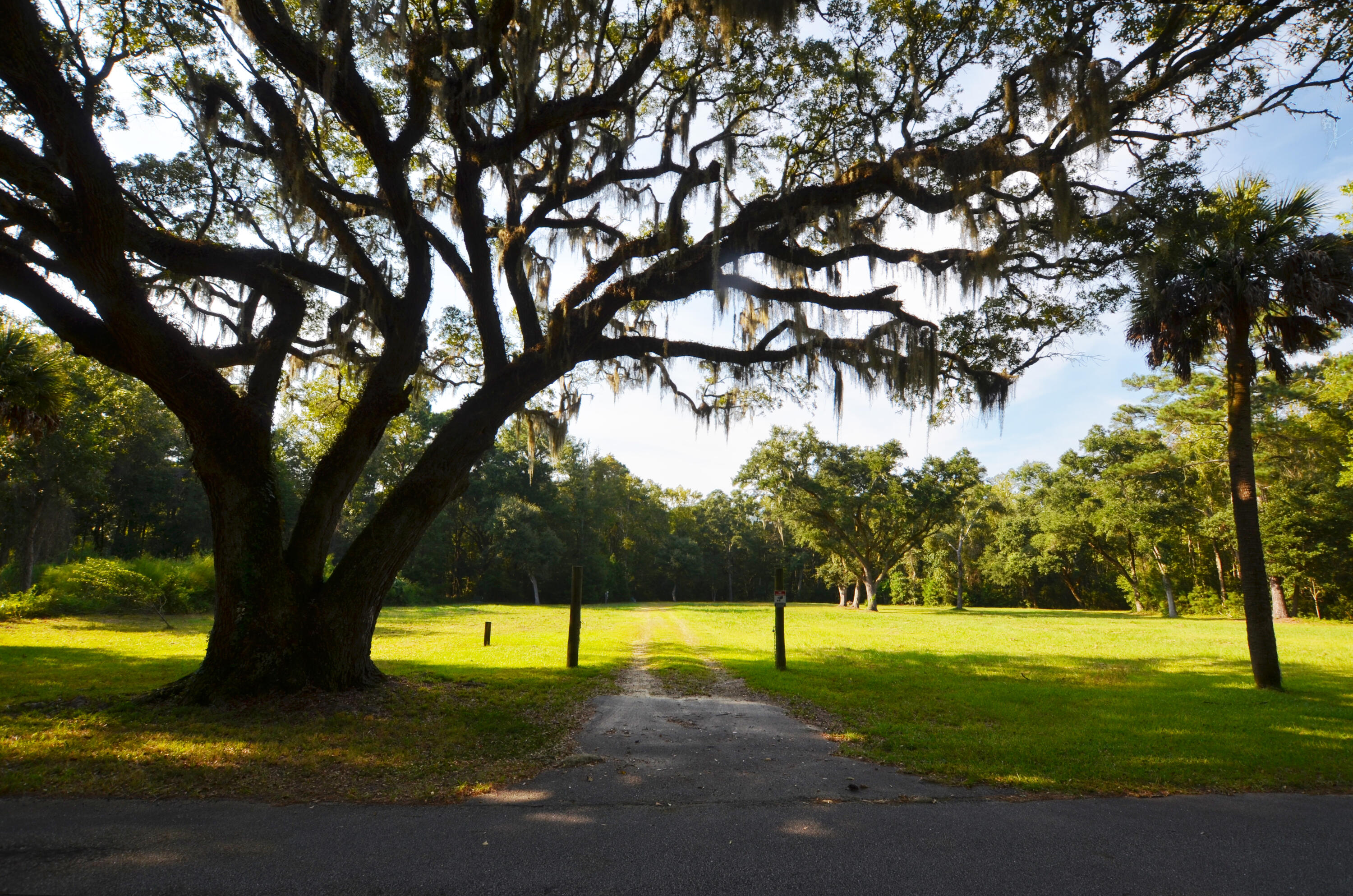 564 Dupre Road McClellanville, SC 29458 - Photo 2 of 17 Entrance