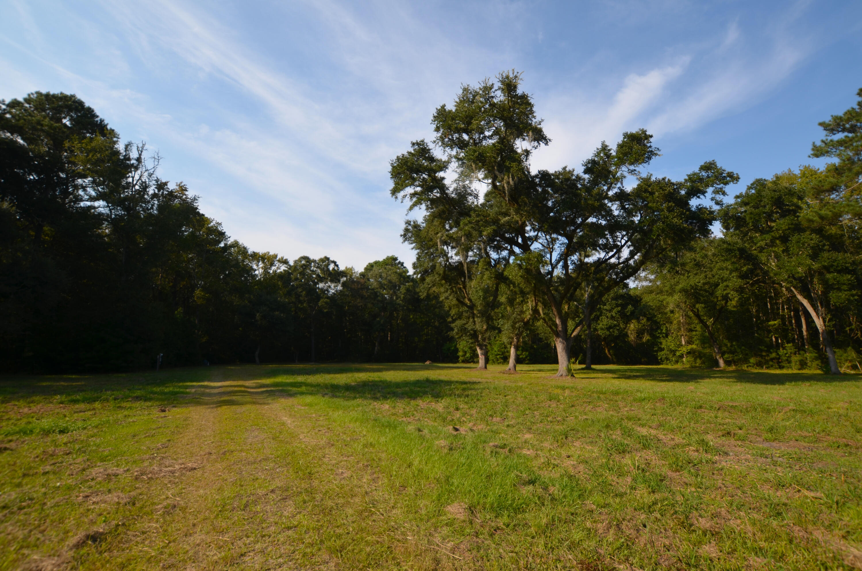 564 Dupre Road McClellanville, SC 29458 - Photo 5 of 17 Entrance4