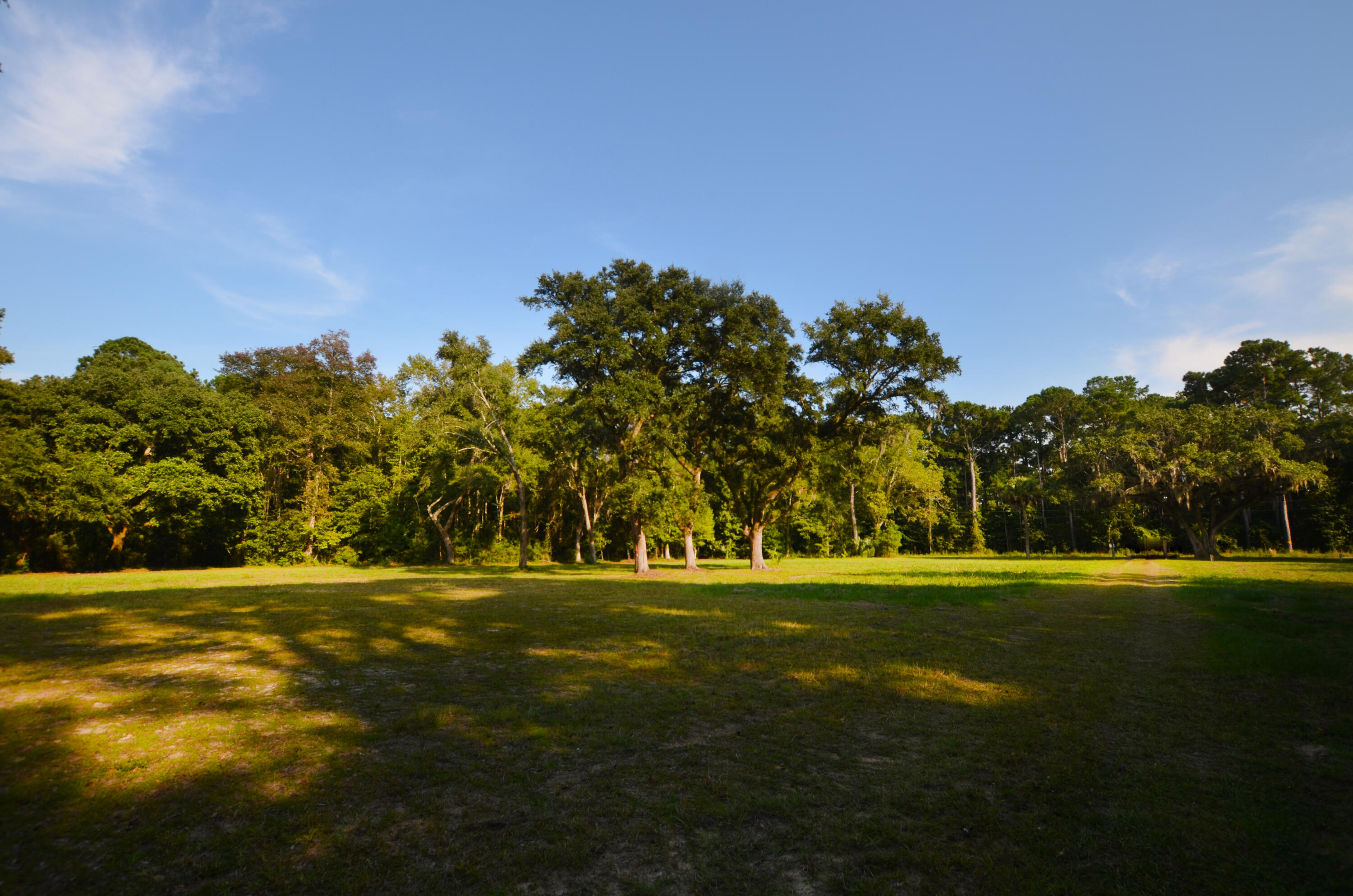 564 Dupre Road McClellanville, SC 29458 - Photo 6 of 17 Entrance6