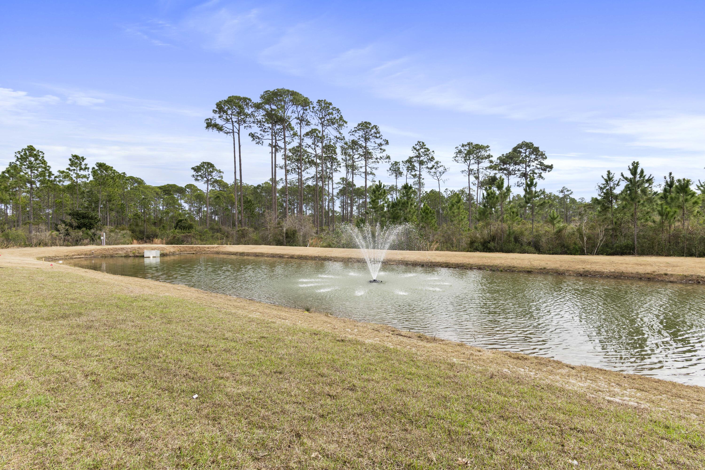 142 Brizo Lane, Unit LOT 13 Santa Rosa Beach, FL 32459 - Photo 36 of 47 Serene Pond Views
