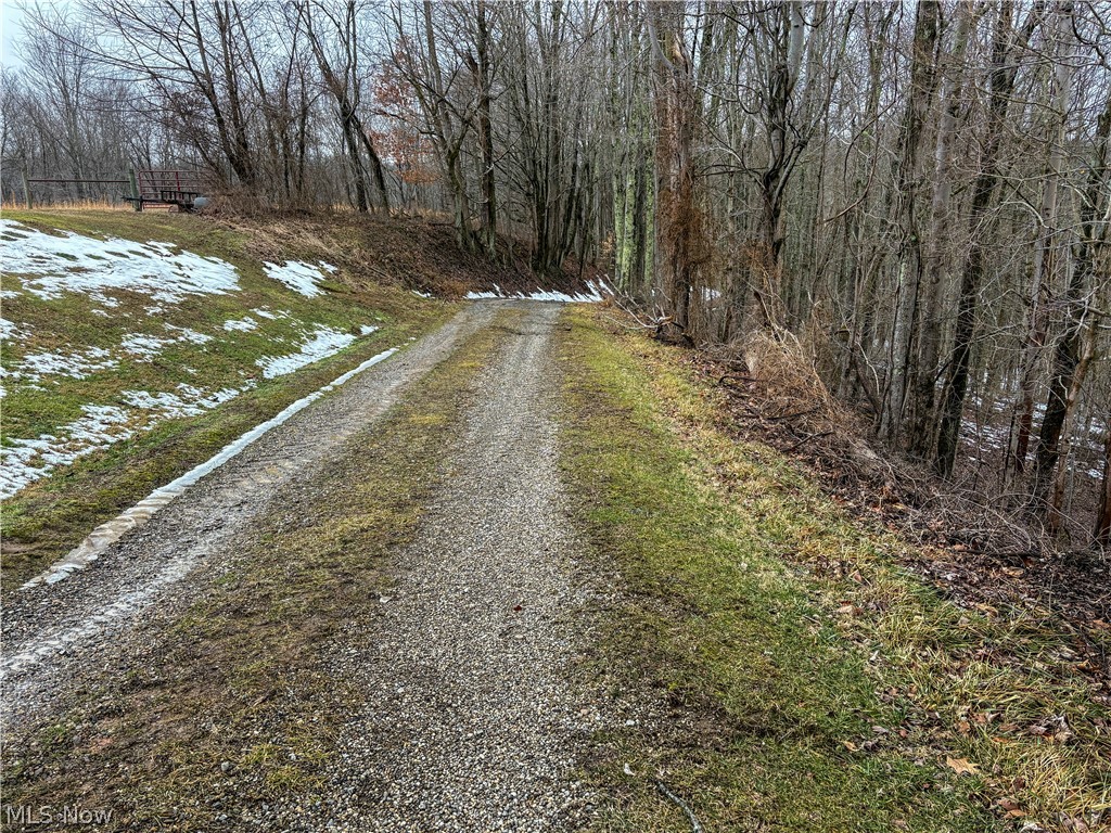 0 Tract 4 Twp Road Woodsfield, OH 43793 - Photo 34 of 34