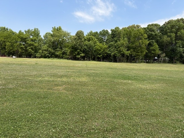 745 Alman Cemetery Road Paris, TN 38242 - Photo 23 of 31 a view of a field with an trees