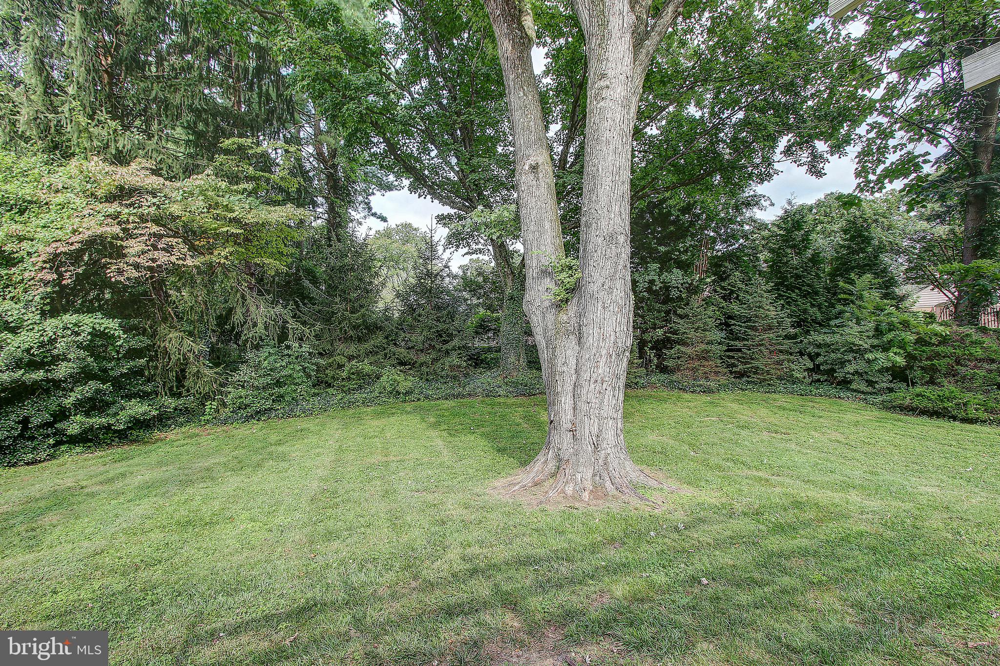 710 Apple Grove Road Silver Spring, MD 20904 - Photo 42 of 48 Gallery Image 42